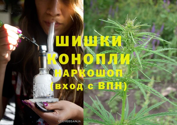 spice Осинники