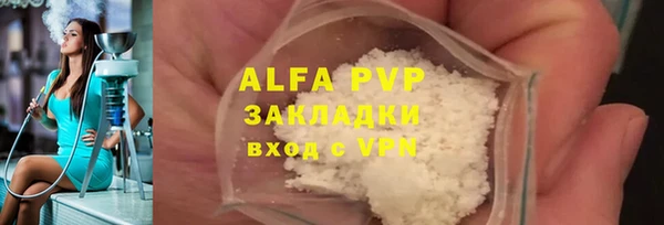 индика Осташков