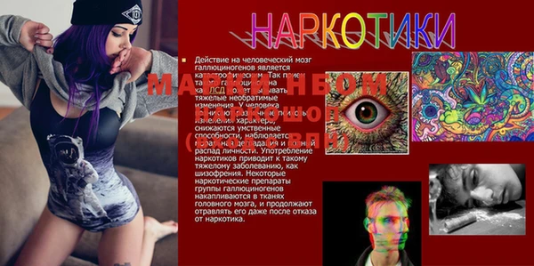 гидропоника Абаза