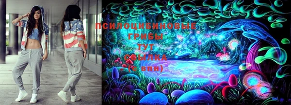 гидропоника Абаза
