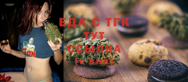 индика Осташков